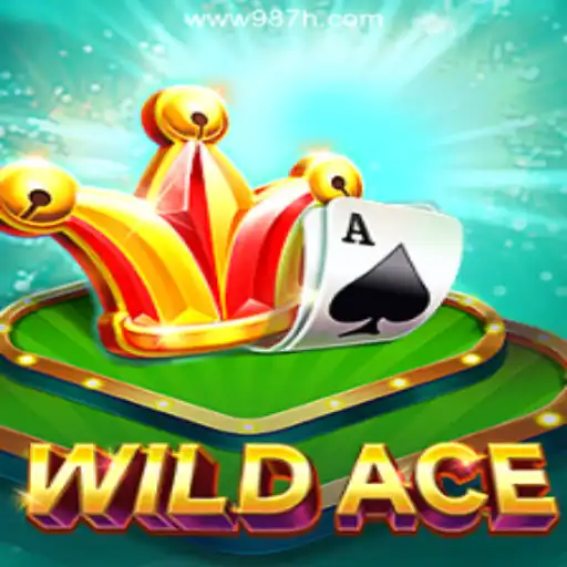 Exploring the Exciting World of WildAce Slots